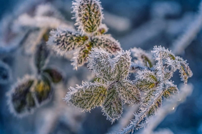 Crystal Details