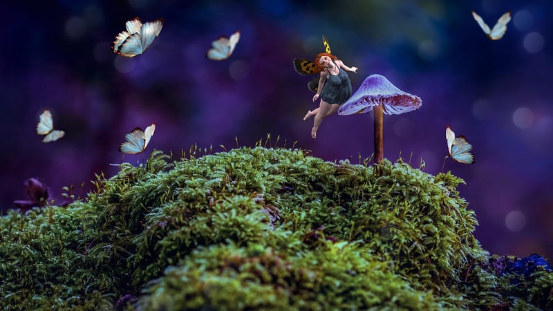 Whimsical Forests